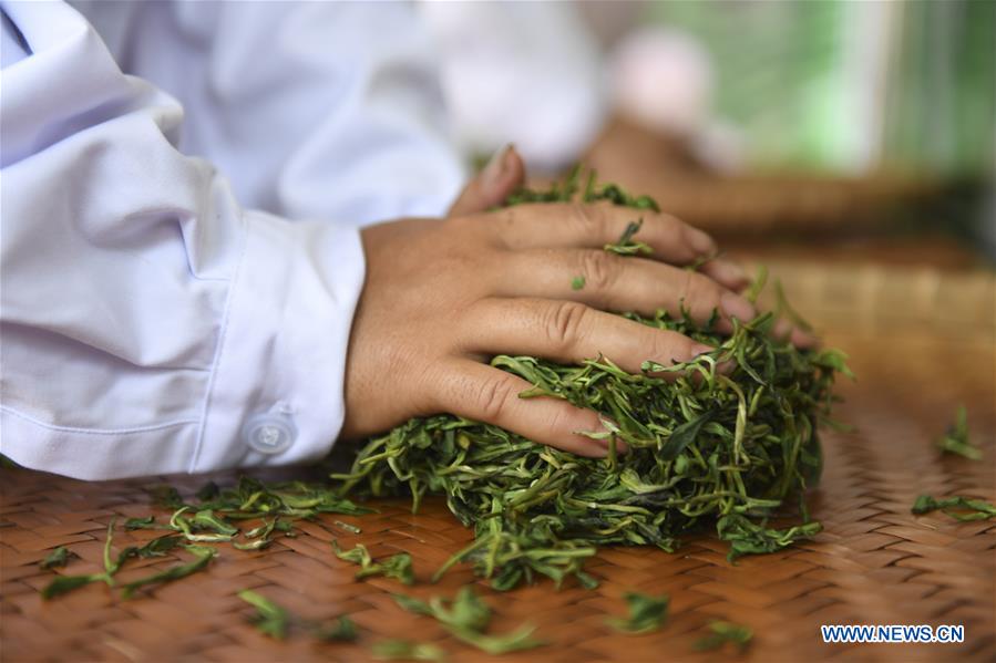 CHINA-GUANGXI-YULIN-STIR-FRYING-TEA-SKILL COMPETITION (CN)