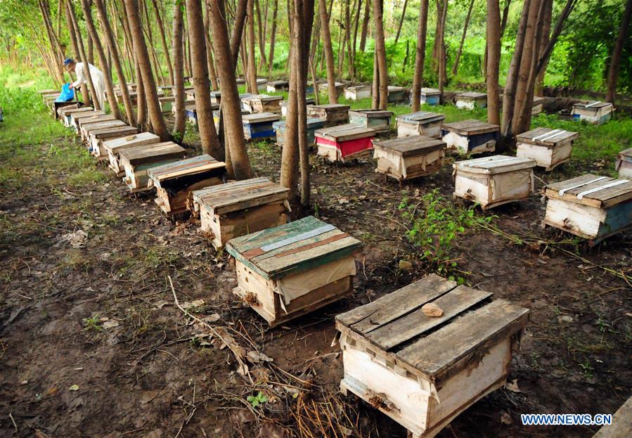 PAKISTAN-PESHAWAR-HONEY COLLECTION