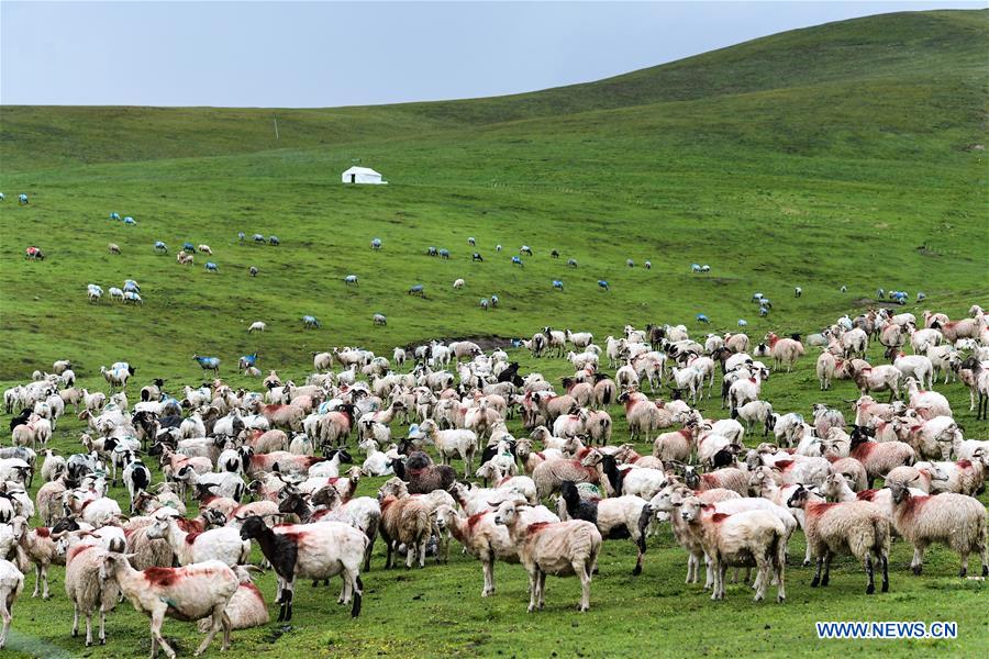 (EcoChina)CHINA-HORTICULTURAL EXPO-GANSU (CN)