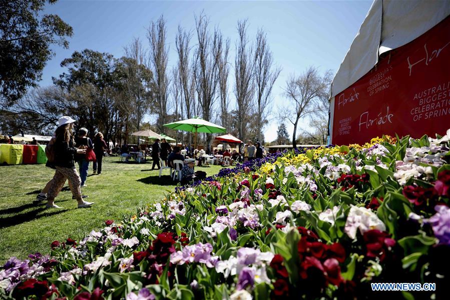 AUSTRALIA-CANBERRA-FLORIADE