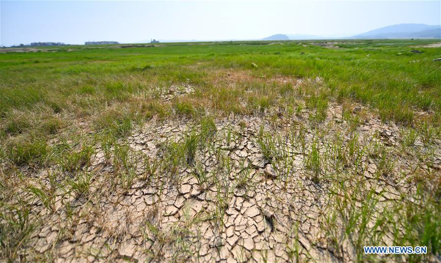 CHINA-JIANGXI-POYANG LAKE-DRY SEASON (CN)