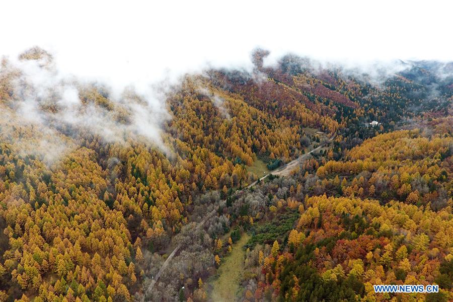 CHINA-SHANXI-PANGQUANGOU-NATURE RESERVE (CN)