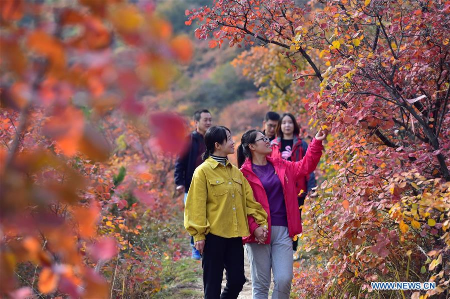 CHINA-HEBEI-JINGXING-XIANTAI MOUNTAIN-SCENERY (CN)