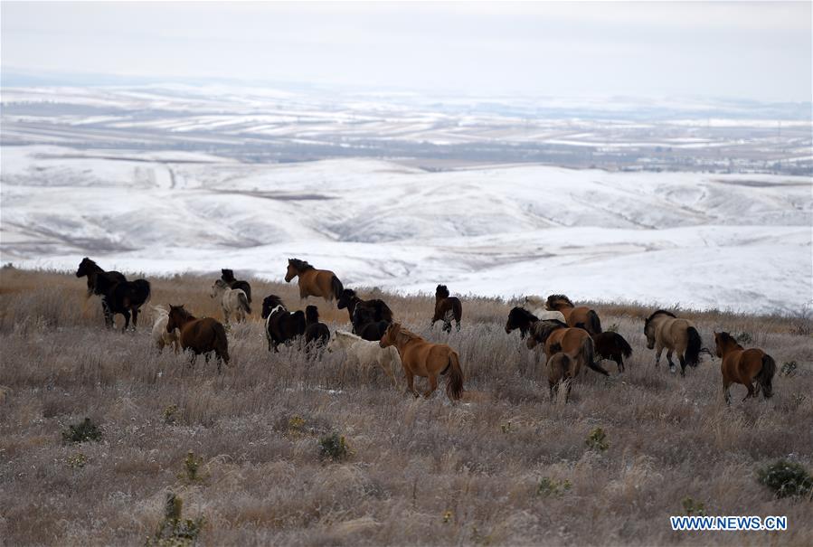 CHINA-INNER MONGOLIA-DAQING MOUNTAIN-SNOW-SCENERY (CN)