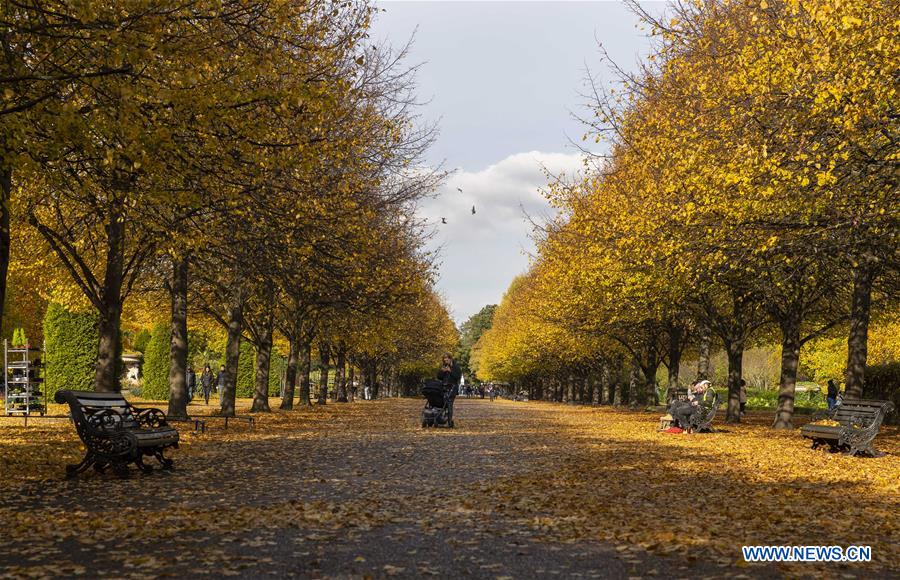 BRITAIN-LONDON-AUTUMN-FOLIAGE