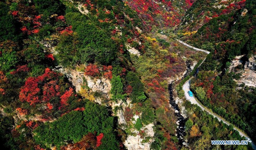 CHINA-SHAANXI-HUAZHOU-SHAOHUA MOUNTAIN-AUTUMN (CN)