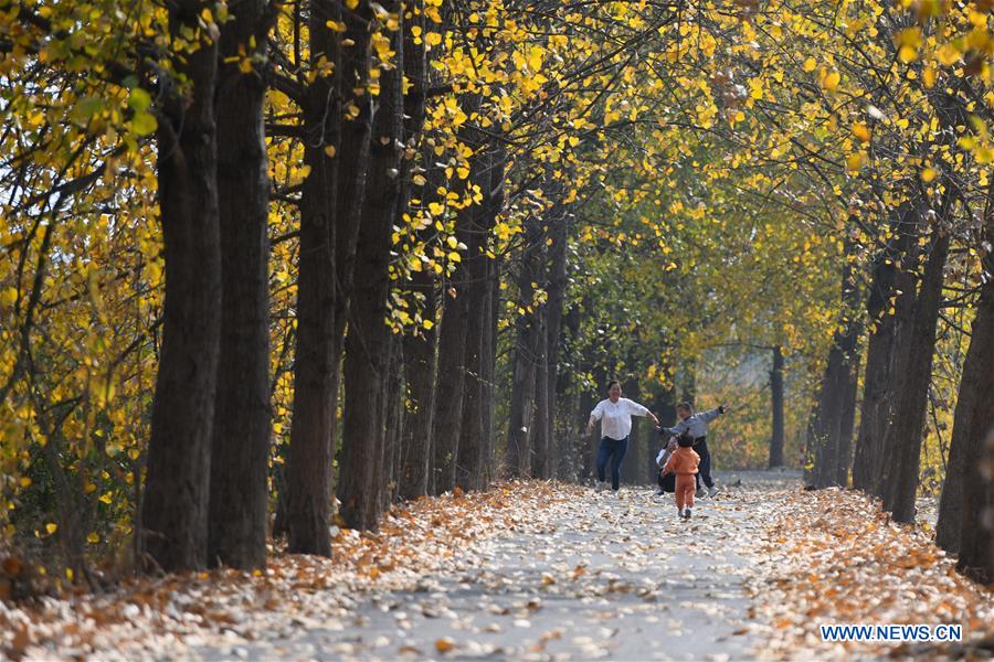 CHINA-ANHUI-AUTUMN VIEWS (CN)