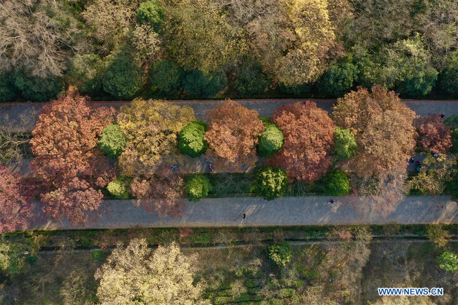 CHINA-NANJING-AUTUMN-XIAOLING MAUSOLEUM-SCENERY (CN)