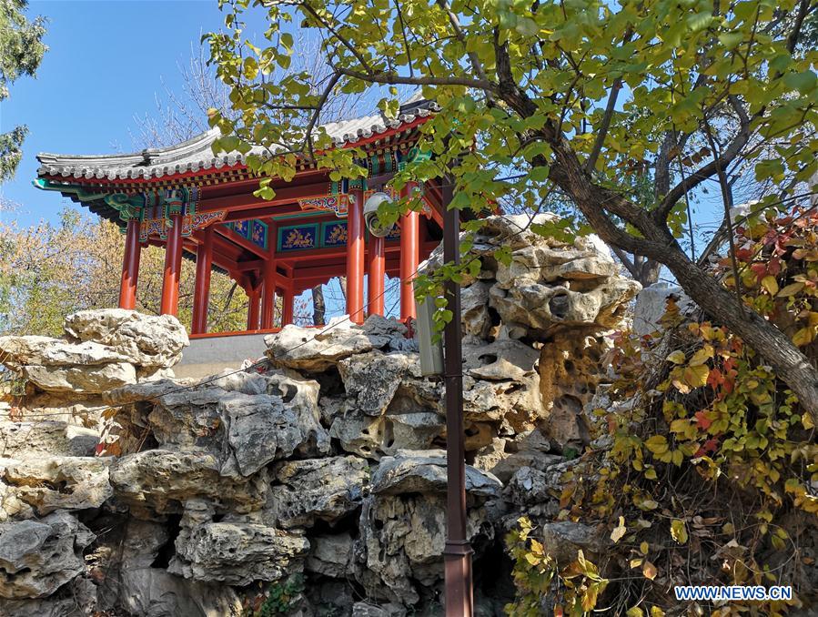 (BeijingCandid)CHINA-BEIJING-AUTUMN (CN)