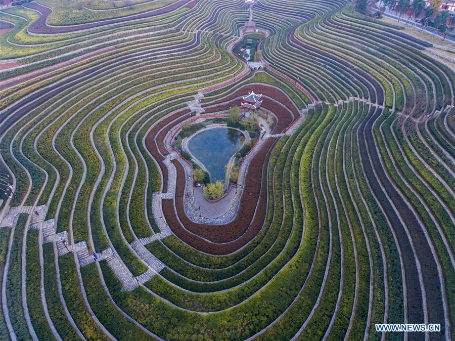 GUIZHOU-BIJIE-SCENERY-TERRACED FIELDS (CN)