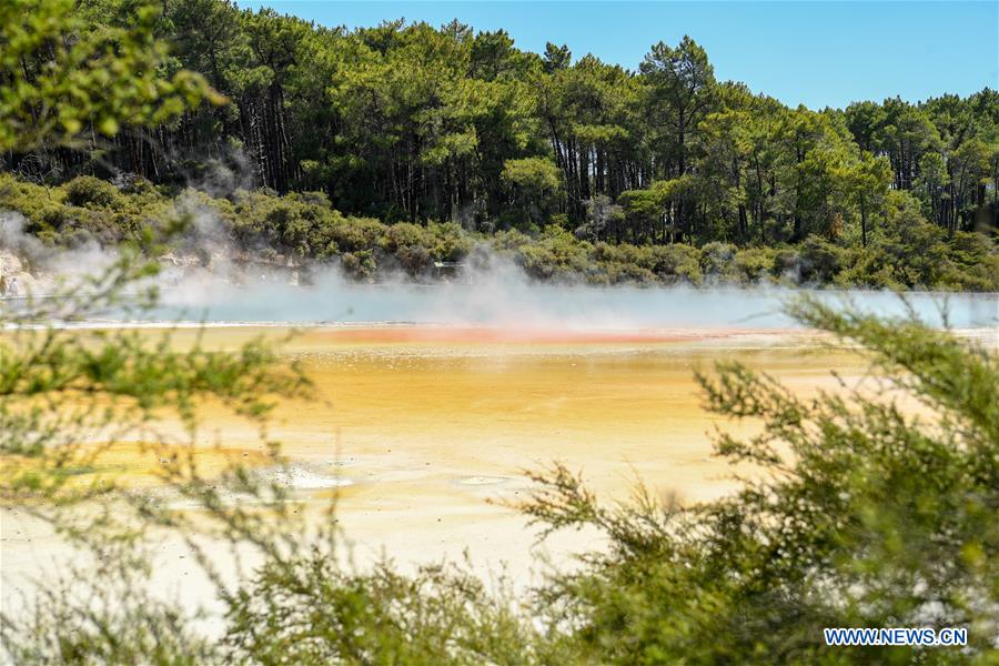 NEW ZEALAND-ROTORUA-WAI-O-TAPU THERMAL WONDERLAND