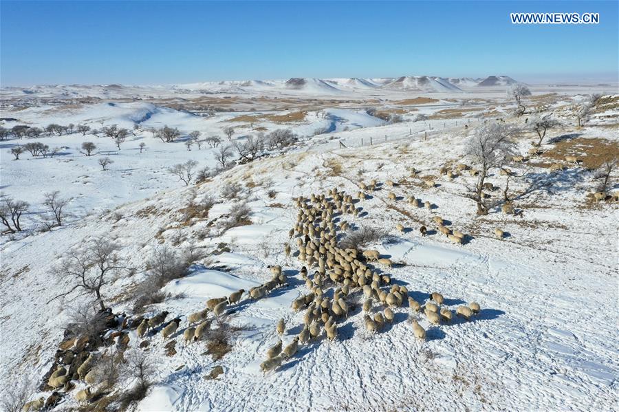 CHINA-INNER MONGOLIA-XILINHOT-GRASSLAND-WINTER SCENERY (CN)