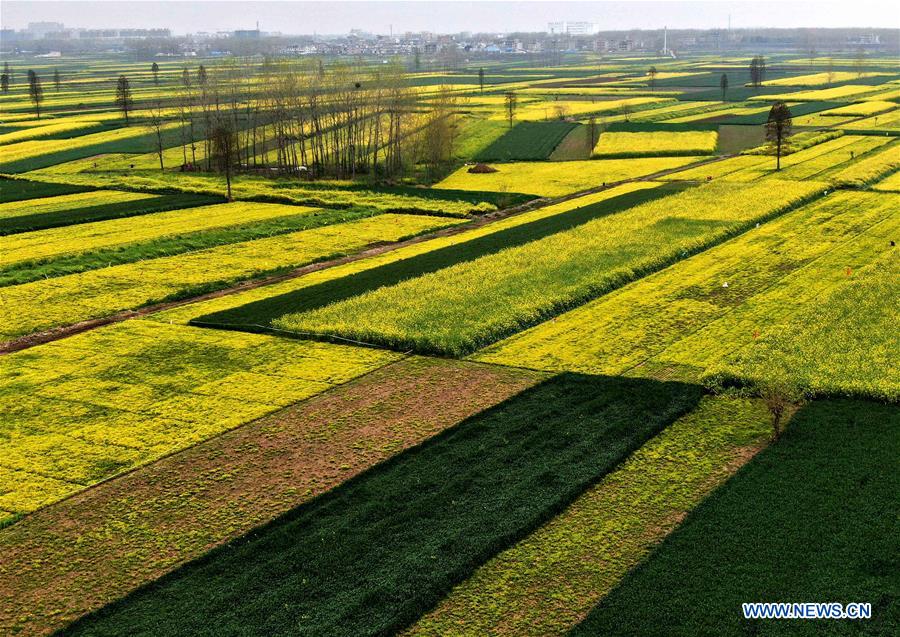 CHINA-HENAN-SPRING SCENERY (CN)