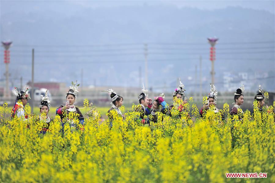 #CHINA-SPRING-FLOWER (CN)