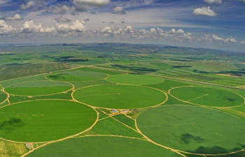 In pics: farmlands in Zhangjiakou, north China's Hebei