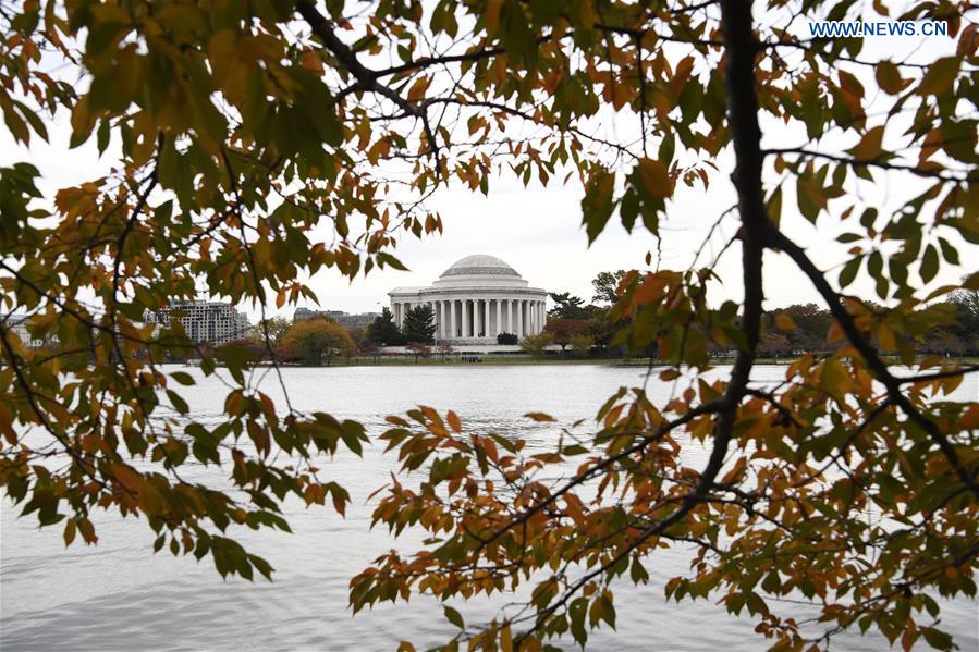 U.S.-WASHINGTON D.C.-TIDAL BASIN-AUTUMN