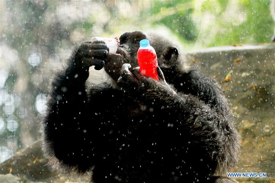 THAILAND-BANGKOK-ZOO-ANIMAL