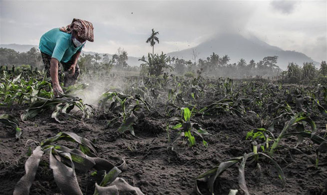 Mount Sinabung volcano spews volcanic ash in Indonesia