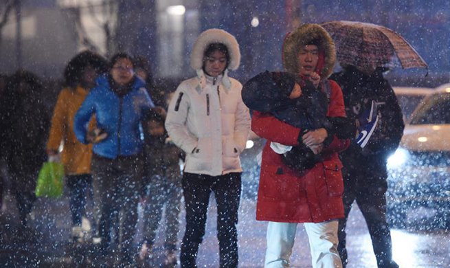 Beijing embraces first snowfall of 2020