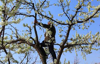 In pics: Farm work across China