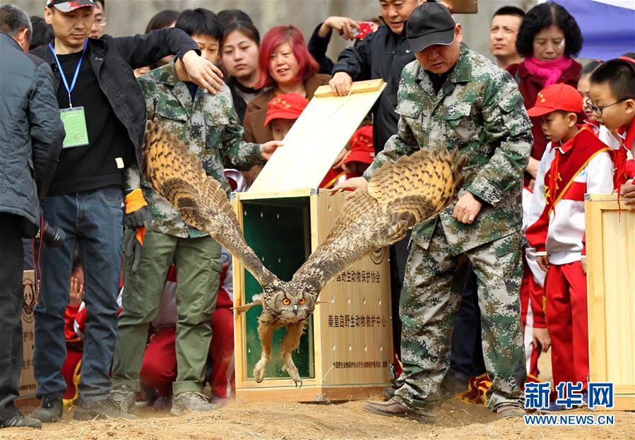 （镜观中国·新华网）（14）新华社国内照片一周精选