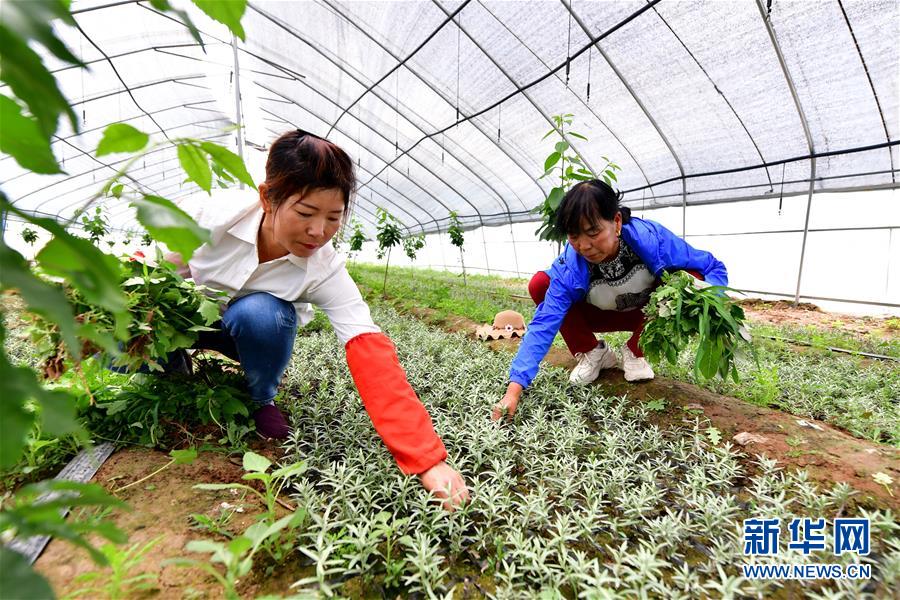 （新华全媒头条·图文互动）（5）吕梁新传奇