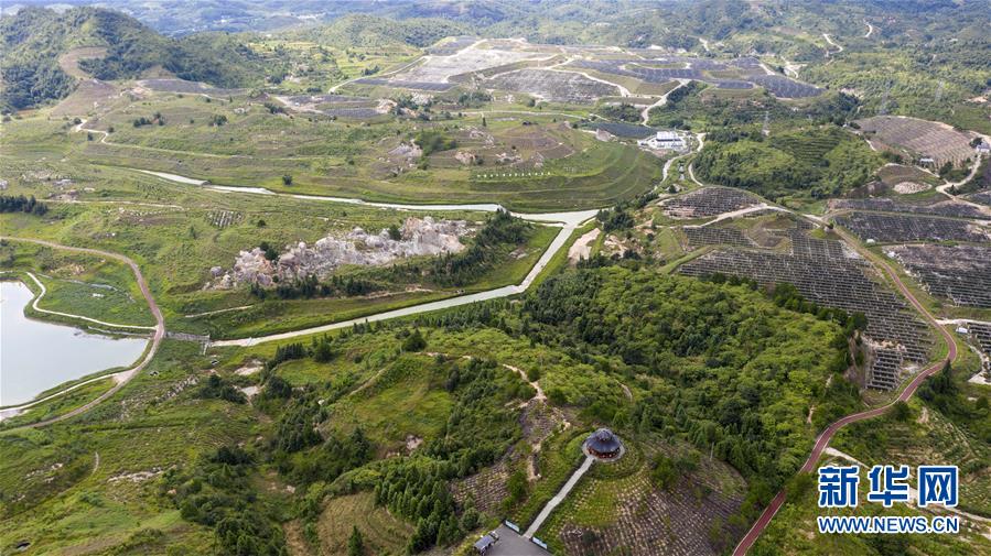 （走向我们的小康生活·图文互动）（2）从废弃矿山到生态“福地”——江西寻乌战荒记 