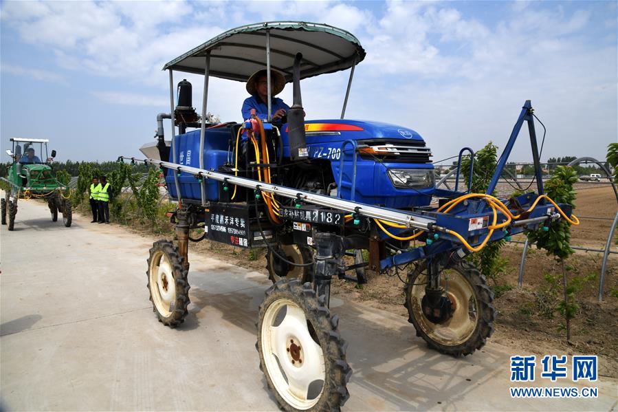 （在习近平新时代中国特色社会主义思想指引下——新时代新作为新篇章·习近平总书记关切事·图文互动）（8）新农事、新希望——夏收前田间新动态扫描