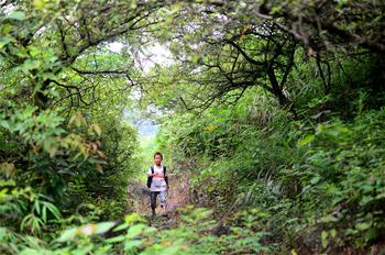 大山深深，挡不住小小读书郎的求学梦