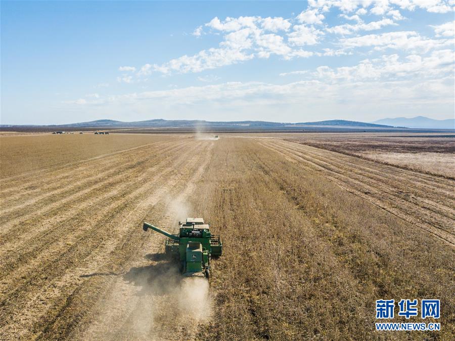 （新华全媒头条·图文互动）（14）特稿：新时代 新典范 新航程——写在中俄建交70周年之际